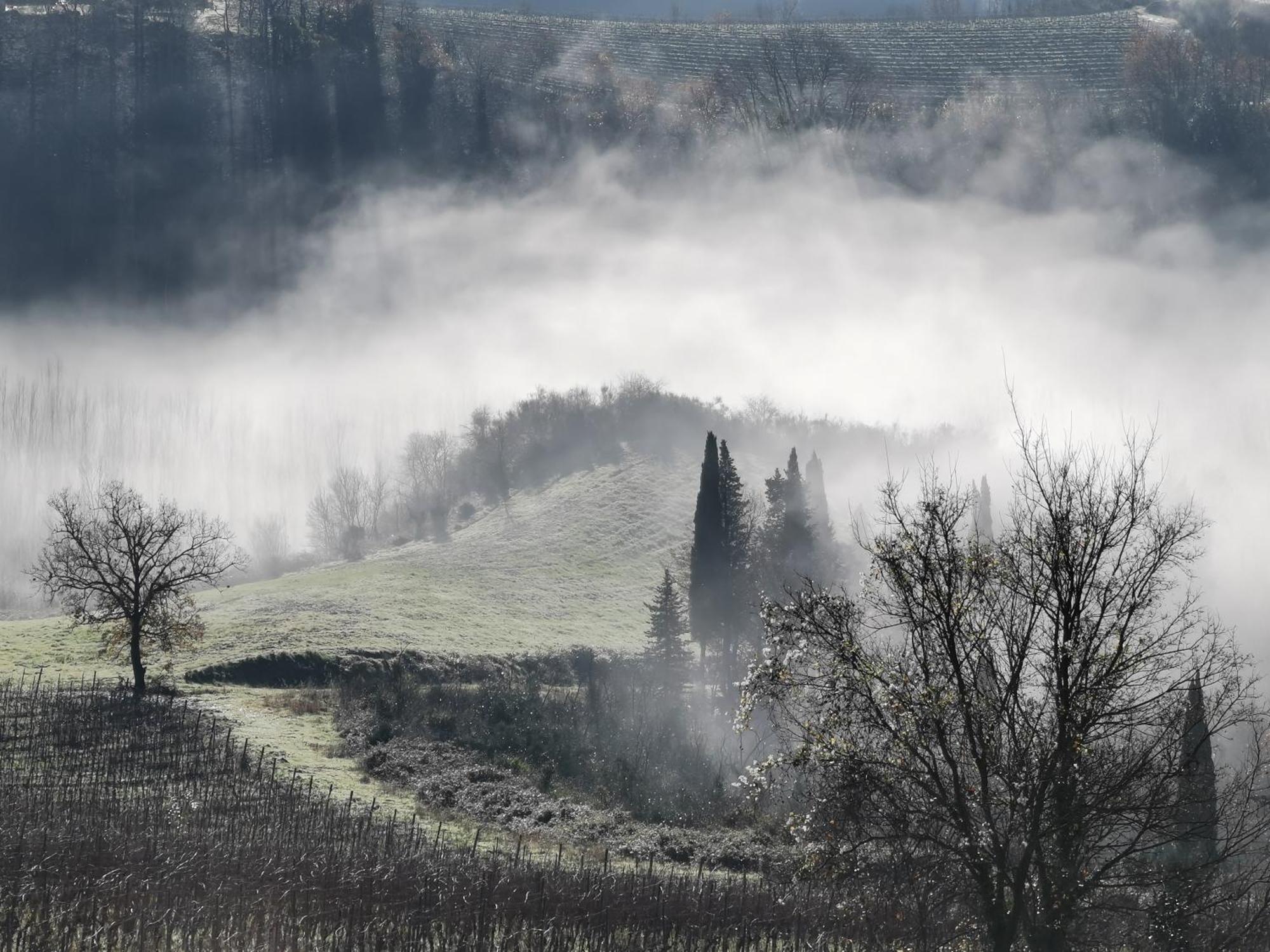 Agriturismo Bio Fattoria Bacio Certaldo Εξωτερικό φωτογραφία